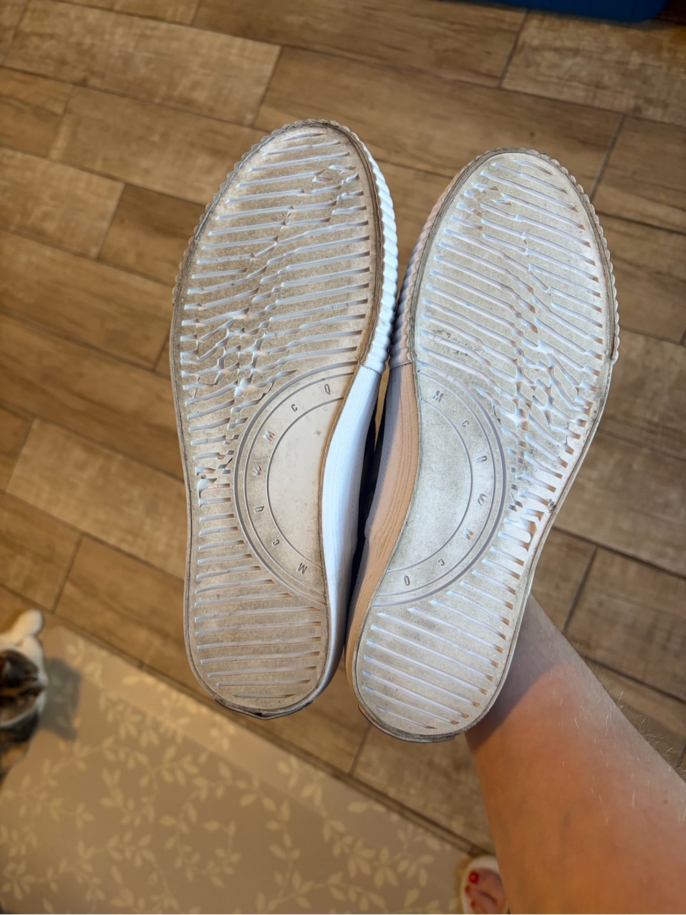 Alexander McQueen Slip-On Canvas Sneakers with Black Swallow Print - Picture 5 of 5